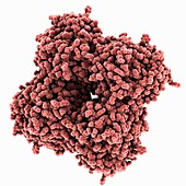 Flu virus surface protein molecule