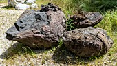 Volcanic rock samples
