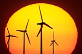 Wind turbines and the Sun,artwork