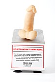 Condom training model
