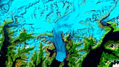 Columbia Glacier,Alaska,1989