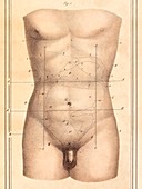 Abdominal anatomy,1825 artwork