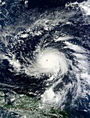 Typhoon Bopha,satellite image
