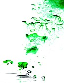 Ink in water,high-speed image