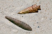 Native American flint arrowheads