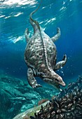 Prehistoric marine reptile,Placodus