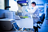 Scientist working in a fume cupboard