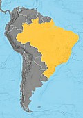 Brazil,relief map