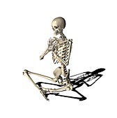 Skeleton in yoga position,artwork