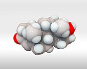Testosterone,molecular model