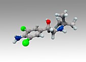 Clenbuterol drug,molecular model