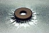 Magnet and magnetic field pattern