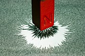 Magnet and magnetic field pattern