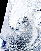 Cloud streets,Greenland,satellite image