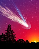 Comet over trees,artwork