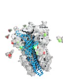 Ketamine drug binding to ion channel