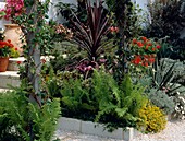 Show garden with steps and gravel