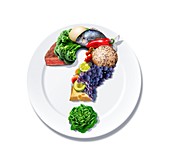 Food queries,conceptual artwork