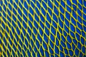 Pattern detail of fish scales