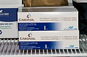 Gardasil vaccine packets