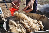Hand Scouring wool