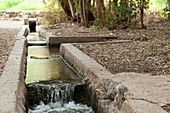 Ancient Irrigation channel