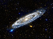 Andromeda galaxy,ultraviolet image