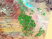 Saudi Arabia agriculture,2012