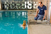 Swimming pool safety testing