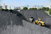 Coal pile,France