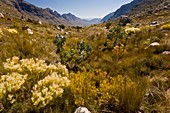 The Uitkyk pass,South Africa