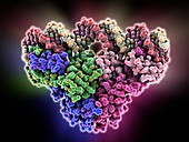 Metal-binding protein bound to DNA