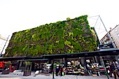 Vertical garden