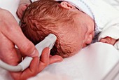 Newborn baby scan