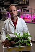 Plant growth in space research