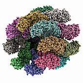 Chaperonin folding protein