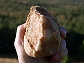 Mousterian stone tool