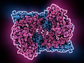 Cholera virulence regulator protein