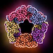 Peroxiredoxin 4 antioxidant enzyme