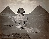 Sphinx,Egyptian pyramids,19th century