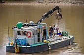 Garonne tidal bore research