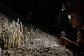 Cave exploration,Brazil