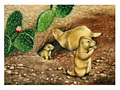 Black-tailed prairie dogs,artwork
