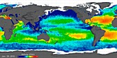 Sea surface salinity,2012 global map