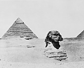 Sphinx and pyramid,Egypt,1850s