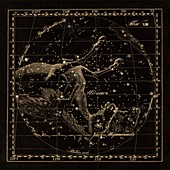 Pegasus constellations,1829