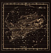 Virgo constellation,1829