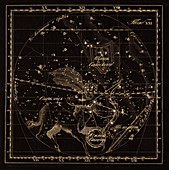 Sagittarius constellations,1829