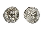 Silver Titus coin