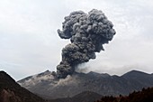 Sakurajima volcano erupting,Japan,2012